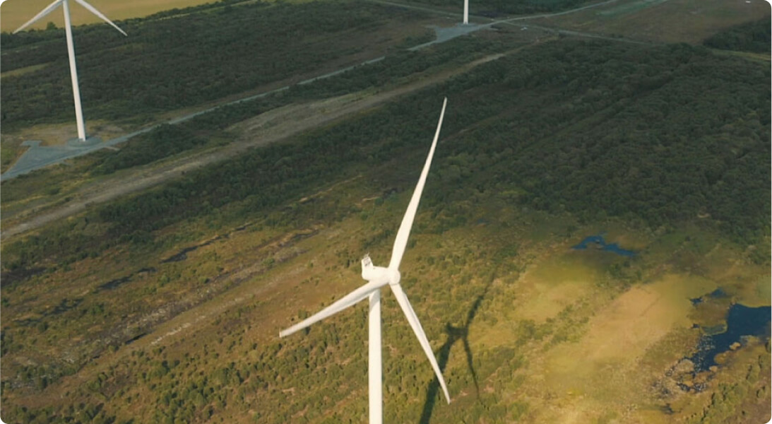 Wind turbines in a field