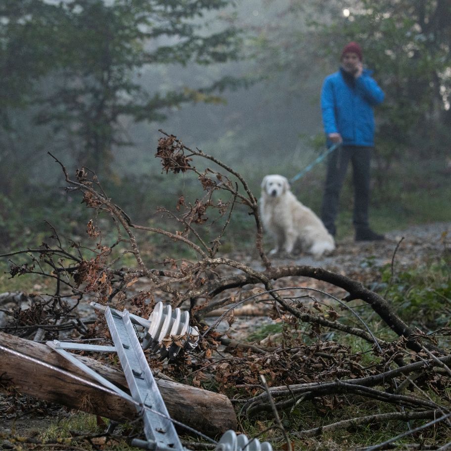 Man with dog talking on phone in front of fallen wires