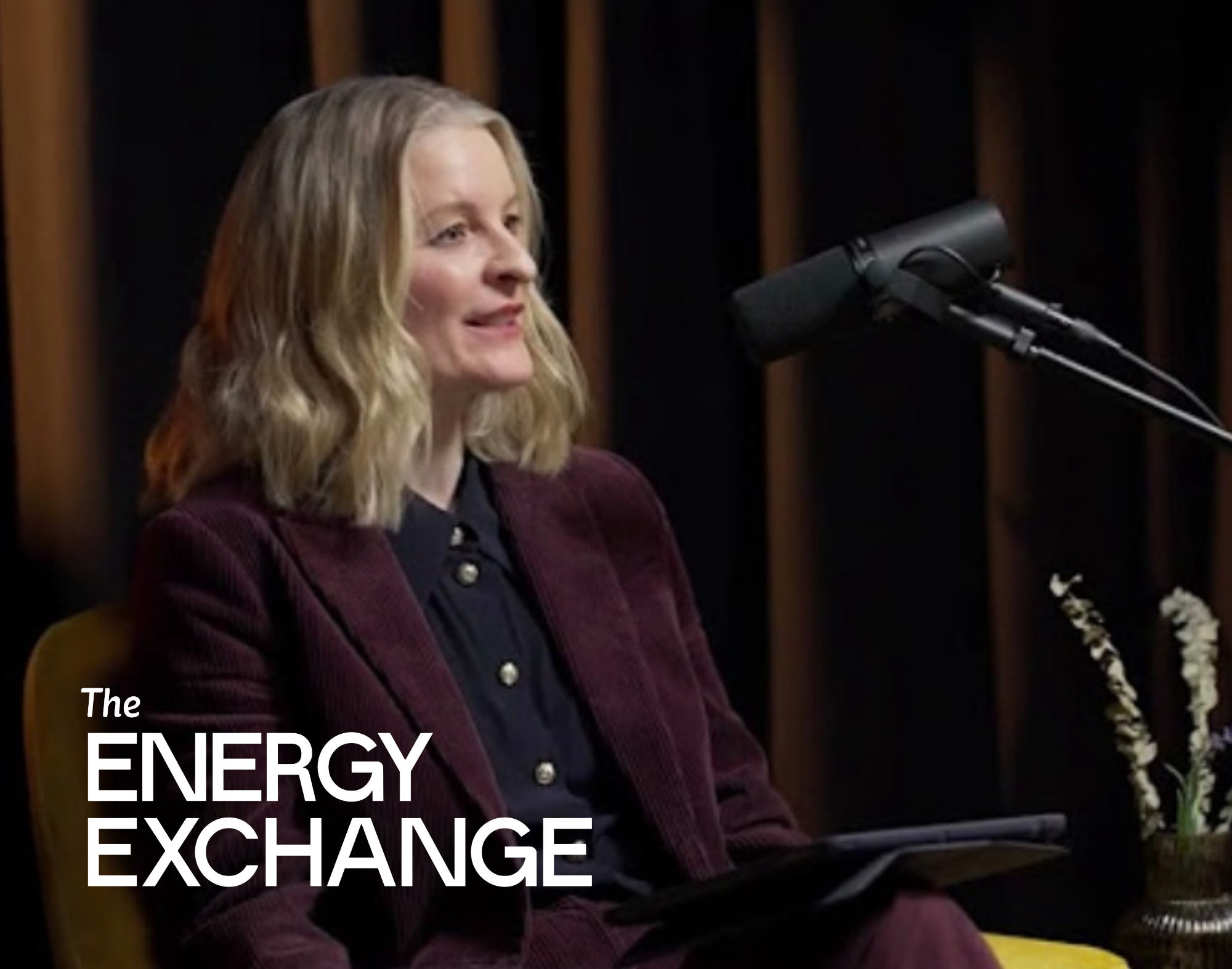 Episode 01 - The Electricity Network video